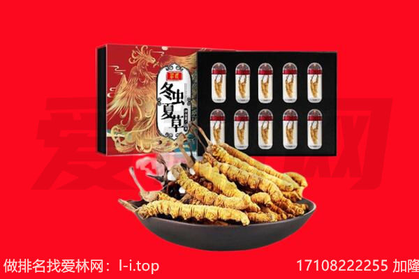 赤峰松山区回收虫草.jpg